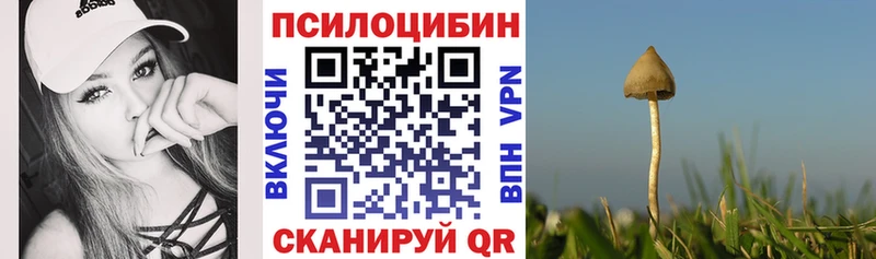 Галлюциногенные грибы прущие грибы  Купить закладки  Дальнереченск 
